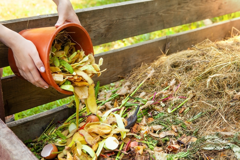 How to Reuse Your Pumpkins This Fall - Compost Them