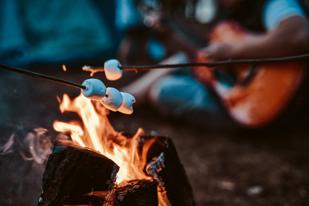 marshallow on sticks its toasting at the stake in blurred background of guitarist and forest.